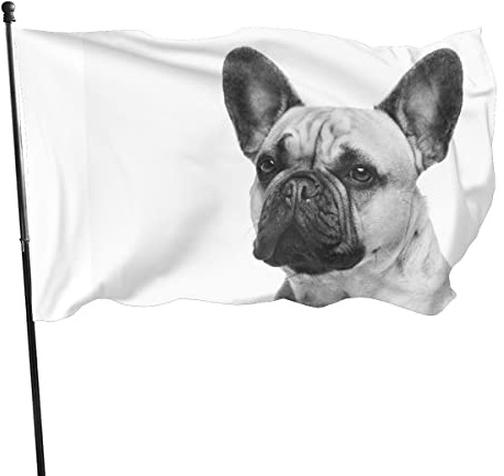 90 x 150 cm, dekorative Hausflagge, Hofbanner, französische Bulldogge, Flagge, Druck, Gartenflaggen, Hängeflagge, Dekoration