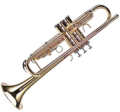 Trumpet, B Flat Trumpet Högkvalitativ Mässing med Bärväska för Instrumentaffär för Nybörjare (Guld)