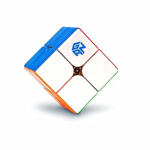 GAN249 V2 Speed Cube 2x2 Stickerless, GAN249 Mini 2x2 Cube 49mm Standard Version