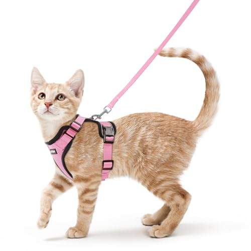 rabbitgoo Katzengeschirr mit Leine ausbruchsicher, S, Rosa