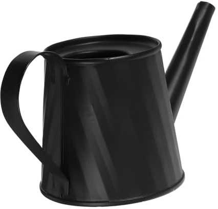 Regadera Mini de Hierro Galvanizado Negra con Asa Portátil