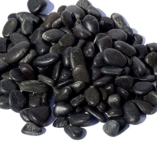 MGS SHOP Dekokies Zierkies Deko DIY Kies Granulat Splitt - Farbe wählbar (5 kg, Nero schwarz 10-20)