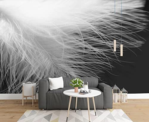 Fototapete 3D Tapete Natürliche Beschaffenheit Der Schwarzen Und Weißen Feder Foto Tapeten Wand Tapeten Vliestapete Modern Wandbilder Wohnzimmer