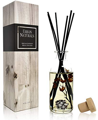 Urban Naturals Mountain Air Scented Fragrance Oil Reed Diffuser & Room Freshener | Golden Apples, Birch Wood, Fennel, Pear Eucalyptus, Mint & Aromatic Sage | Decorative Botanicals | Vegan | USA Made