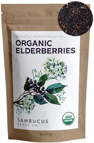 Waterglider International Certified USDA - 100% Organic Dried Elderberries - 1lb Bulk - Non-Irradiated, Non-GMO, Wild Harvest, Whole Black Elderberry Immune Support - Raw Vegan Sambucus 1 Pound