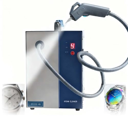 Pulitore A Vapore Per Gioielli 2L/3L 1300W/2600W, Potenza Di Pulizia Professionale Per I Tuoi Gioielli, Il Miglior Servizio, Ideale Per Orologi E Orecchini In Gioiellerie(3L spray gun)