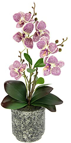 Kunstblume Schmetterling Orchidee mit Blätter und Luftwurzeln im Topf aus Keramik Künstliche Blume Kunstorchidee Phalaenopsis mit Übertopf Kunstpflanze Hochzeit Deko Seidenblume Real Touch Blüte
