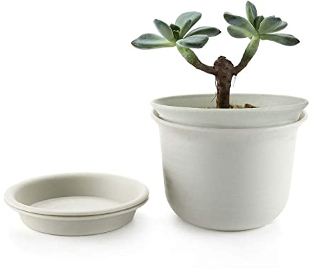 MissFox Lot de 2 Pots de Fleurs avec Soucoupe, 18.4 cm Pot de Fleur Interieur avec Trous de Drainage, Pot Plastique Plante Convient aux Jardins de Balcon Intérieurs et Extérieurs