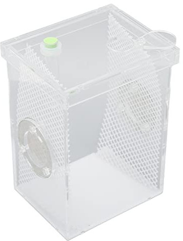 Shanrya Reptilien-Futterbox, Mini-Reptilien-Terrarium, Hohe Transparenz, Langlebiges Acryl für Kleine Reptilien für Cricket-Gottesanbeterin (Große Größe)