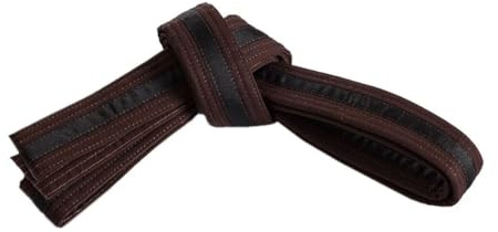 Mastery Leadership (brown belt/Black stripe, 3)