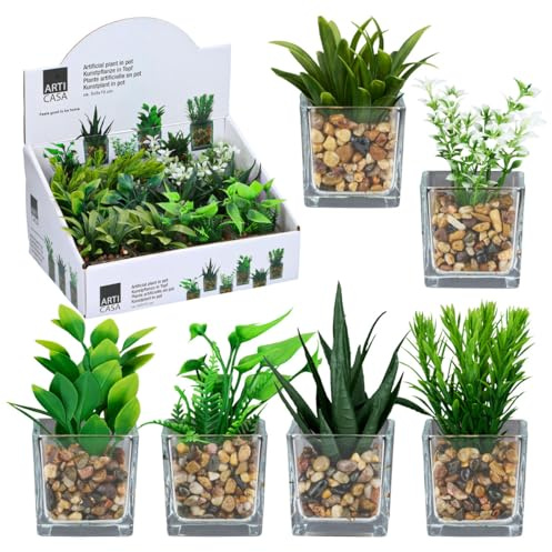 Murago - 12 x Kunstpflanzen im Glastopf ca. 10cm - Sukkulenten künstliche Zimmerpflanze Mini klein Kunstblumen Topf aus Glas Set Dekoration Badezimmer Wohnzimmer für Drinnen Draußen Gastronomie