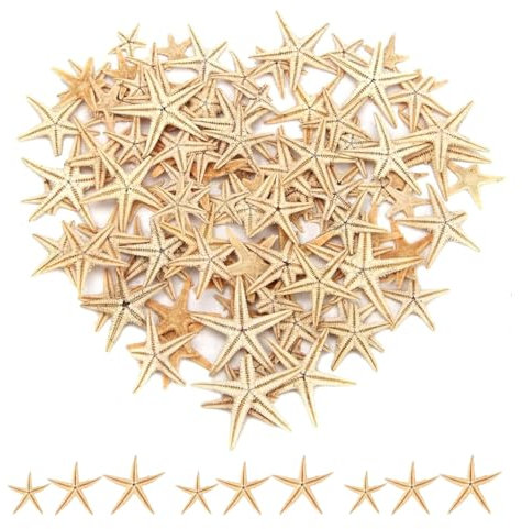 NHPY 50 Pièces 3-5 Cm Étoile de Mer Décoration Thème Marin, Coquillages et Étoiles de Mer Naturelles pour Artisanat