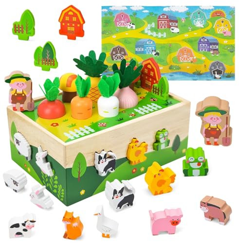 Aischens Holzspielzeug Kinderspielzeug ab 2 3 4 Jahre, Karotten Steckspiel Holz Montessori, Sensorik Spielzeug ab 3 Jahr, Kinder Holzspielzeug Motorikspielzeug, Lernspielzeug Geschenk Mädchen Jungen