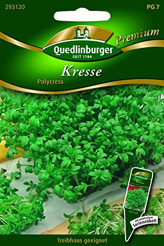 Kresse Polycress - Lepidium sativum QLB Premium Saatgut sonstige Kräuter