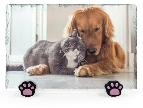 AMAZING Personalisierte Gedenktafel für Haustiere mit Foto und Text Herz Schiefer für Hund Katze mit Pfote Display Stand - Horizontal - Größe 20x30 cm