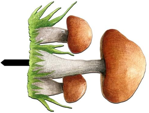 Milisten Piquet De Jardin Acrylique Forme De Champignon pour Décoration Extérieure Ornement Vivant pour Pelouse Jardin Et Cour