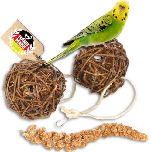 Vogelgaleria® Kolbenhirse gefüllte Weidenkugel 2er Pack - handgefertigt in Deutschland - Erstaunlicher Spielspaß für glückliche und aktive Wellensittiche