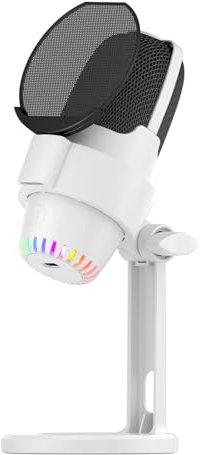 Microfono Gioco Dinamico USB USB RGB Microfono Mic Kit Cancellazione del Rumore PC Mic per Giochi/Meeting/Live Streaming/Registrazione Audio/Video (WHITE)