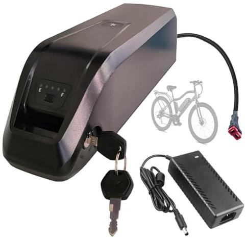 SSCYHT Batería de Repuesto 24 V 10 Ah 13 Ah y 20 Ah Batería de Litio 24 V Baterías extraíbles 15 Ah Baterías Iones Litio con Cargador para Motores 200 W a 500 W,24v13ah t Plug