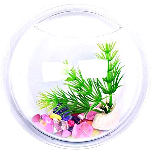 Acquario da muro 9 cm pesci vetro vaso design parete piante idroponiche visto in tv idea regalo originale compatto qualità