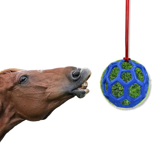 Palla alimentatore di fieno Cavallo Trattare palla appeso fieno alimentatore giocattolo Palla da alimentazione per cavalli per migliorare la digestione del cavallo Palla di fieno per cavalli