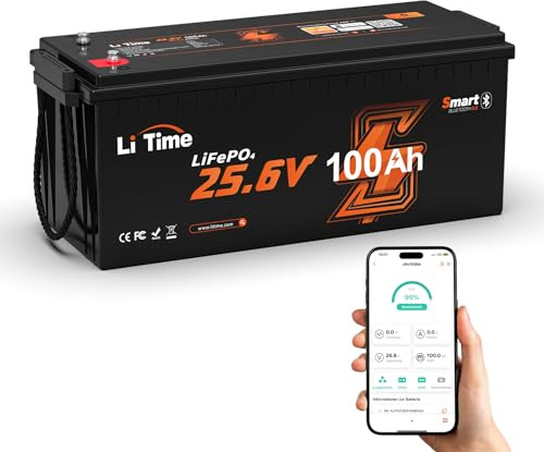 LiTime Batería Litio 24V 100Ah con Bluetooth y Protección Bajas Temperaturas, Bateria Lifepo4 con BMS 100A, 15000 Ciclos, para Caravana, Barco, Energía Respaldo, Aplicación Fuera Red