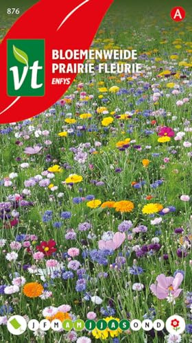 Prairie fleurie Enfys Graines - Présence de cosmos, souci et zinnia