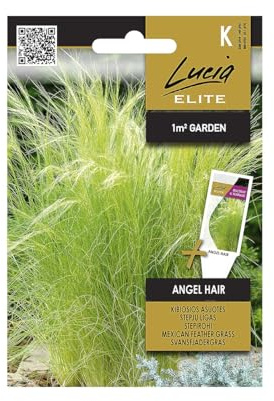 Lucia Elite | Graines de Herbe à plumes à feuilles fines ANGEL HAIR | Graines de Fleurs | Graines de Plantes | Une plante herbacée vivace particulièrement décorative | Graines de Jardin | 1 Paquet