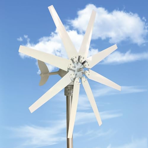 Glowdora Aerogenerador Horizontal De 12v/24v/48v/110v/220v con 8 Aspas Y Velocidad Nominal De 2 M/S. Kit Robusto Y Duradero con Controlador. Ideal para Casas, Villas, Etc.,12000W-12V