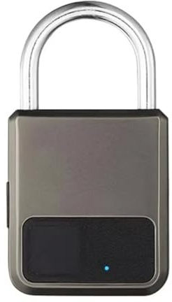 Osmond Lucchetto per Impronte Digitali Portatile Intelligente Tuya APP con Supporto Chiave USB per Emergenze Durevoli (Grigio)