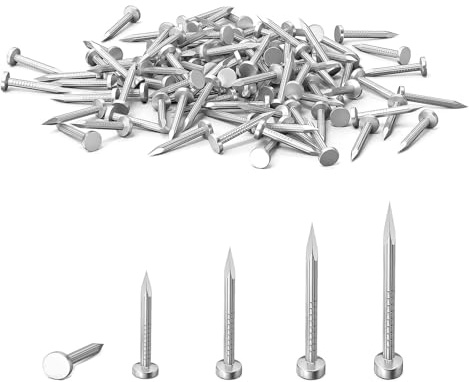 210 Pcs Nails for Wood, Small Nails, Panel Pins 25mm | Wood Nails, Masonry Nails, Galvanized Concrete Wall Nail for DIY, Crafts, Carpentry, Woodworking, Hanging Pictures