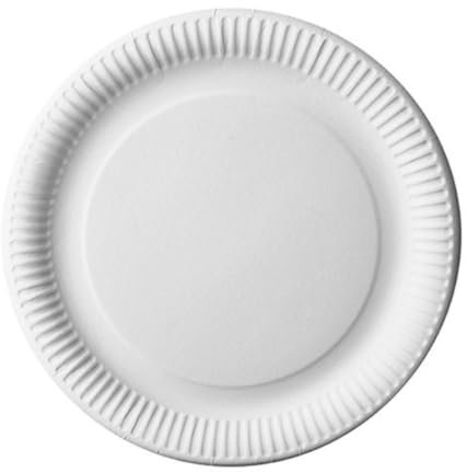 Générique - 24 ASSIETTES CARTON ROND 29CM BLANC