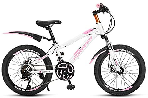24-Gang-Fahrrad, 20/22 Zoll Hardtail Mountainbikes mit Verstellbarem Sitzkissen, für Männer und Frauen (Color : Pink, Size : 22in)