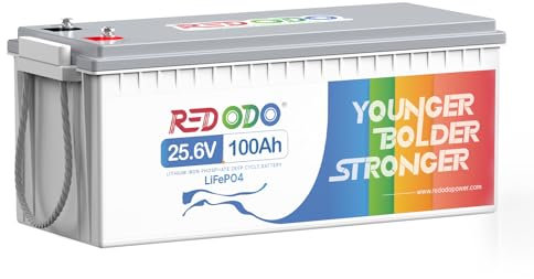 Redodo 24V 100Ah LiFePO4 Lithium Batterie, Max. 2560W Leistung, Eingebautes 100A BMS, 4000~15000 Zyklen Akku, Perfekt für Wohnmobil, Marine, Überlandtransporter