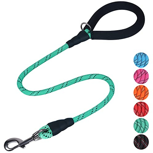 VIVAGLORY Laisse en Corde Robuste avec poignée rembourrée en néoprène Doux et Fils réfléchissants, Laisse 120CM pour Dressage et Promenade Petits et Moyens Chiens, Turquoise