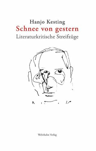 Schnee von gestern: Literaturkritische Streifzüge