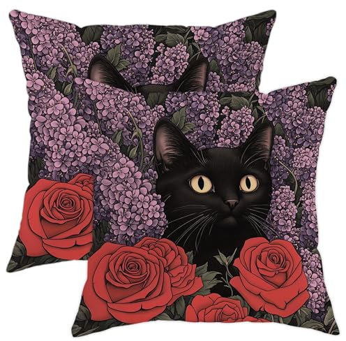 Set di 2 federe per cuscini a forma di gatto, motivo floreale con rose rosse e lilla, decorazione autunnale, quadrate, per casa, divano, letto, 40,6 x 40,6 cm