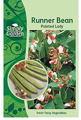 Simply Garden Runner Bean Painted Lady Fresh Vegetable Seeds Grow Your Own Garden