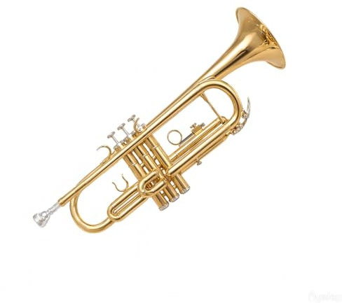 Dleisis Bb Trumpet for Beginner/Advanced Student, Brass Instrument with 7C Mouthpiece, Hard Case, Polishing Cloth, Gloves, Cleaning Kit (2 Short + 1 Long Brush), Golden for Kids & Adults
