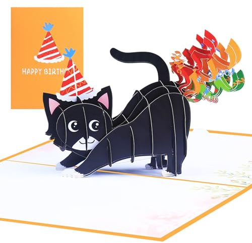 3D Pop-Up Geburtstagskarte -Geburtstagskarte, Lustige Regenbogen-Katze Design, Glückwunschkarte für Frauen/Männer (20x15cm)