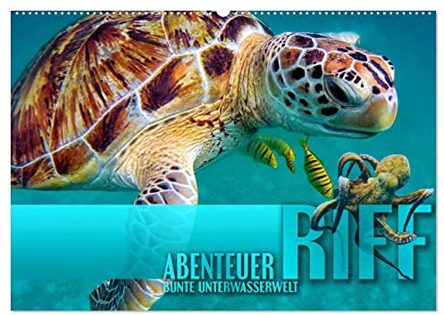 Abenteuer Riff - bunte Unterwasserwelt (Wandkalender 2026 DIN A2 quer), CALVENDO Monatskalender: Fantastische Unterwasseraufnahmen zeigen das ... Korallenriffen der Erde (CALVENDO Natur)