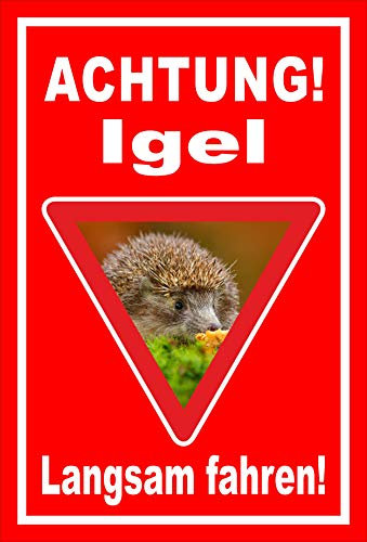 Melis-Folienwerkstatt Schild Igel - langsam Fahren - 30x20cm - 3mm Aluverbund – 20 VAR S00359-157-D