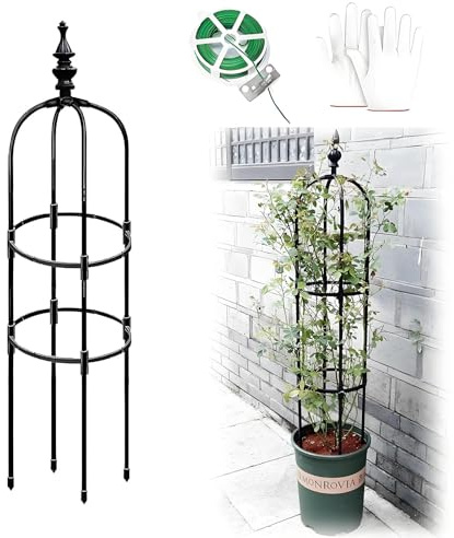 Garden Obelisk Rankhilfe Rosen Rankgitter Metall Rostfrei Für Kletterpflanzen Rosen Clematis 60cm 90cm 120cm 150cm 180cm Hoch 20cm 25cm 28cm Ø Rankturm Für Tomaten Gurken(Schwarz,25x90cm)