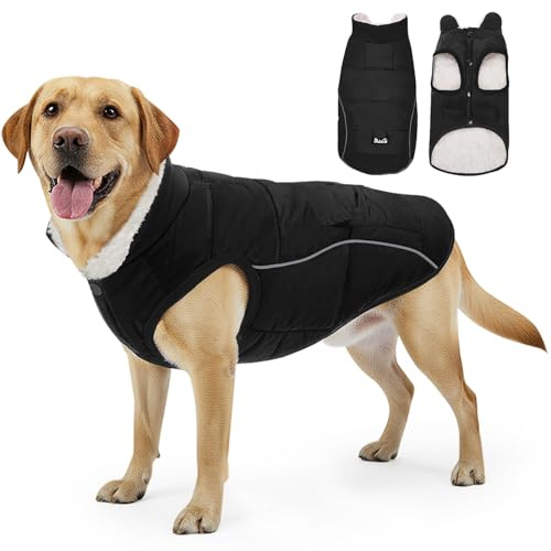 Eyein Hundejacke Wintermantel für Keine Hunde, Wasserdichter Hundemantel mit warmem Fleecefutter, Reflektierende Winddichter Winterweste mit Taschen und Hundeleine-Loch für Haustier, Schwarz, M