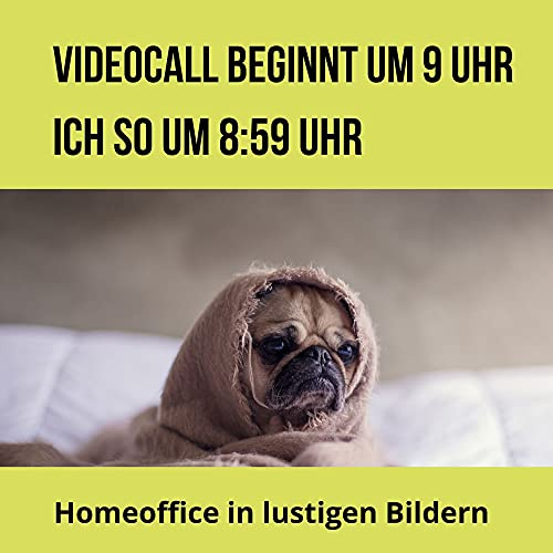Videocall beginnt um 9 Uhr - Ich so um 8:59 Uhr: Homeoffice in lustigen Bildern