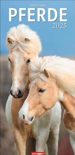 Horse - Calendario de pared 2025 alargado, calendario de pared grande con impresionantes fotos de la famosa fotógrafa de caballos Sabine Stuewer. Calendario XL ... 33 x 68 cm (calendario animal