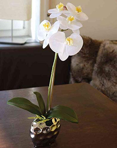artplants.de Orchidea phalaenopsis Artificiale Emilia, Vaso di Ceramica, Bianco, 45cm - Phalaenopsis Finta - Orchidea Decorativa