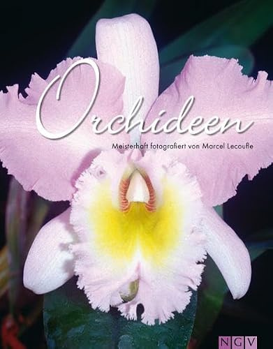 Orchideen: Meisterhaft fotografiert von Marcel Lecoufle
