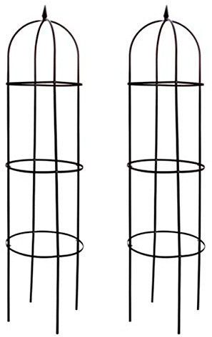 Gravidus 2er Set Rankhilfe für Kletterpflanzen, 200 cm hoch, aus grün beschichtetem Stahl, ideal für Gärten und Balkons