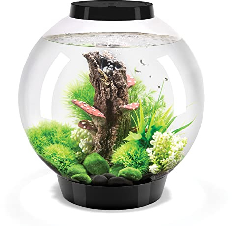 biOrb CLASSIC 30 LED noir